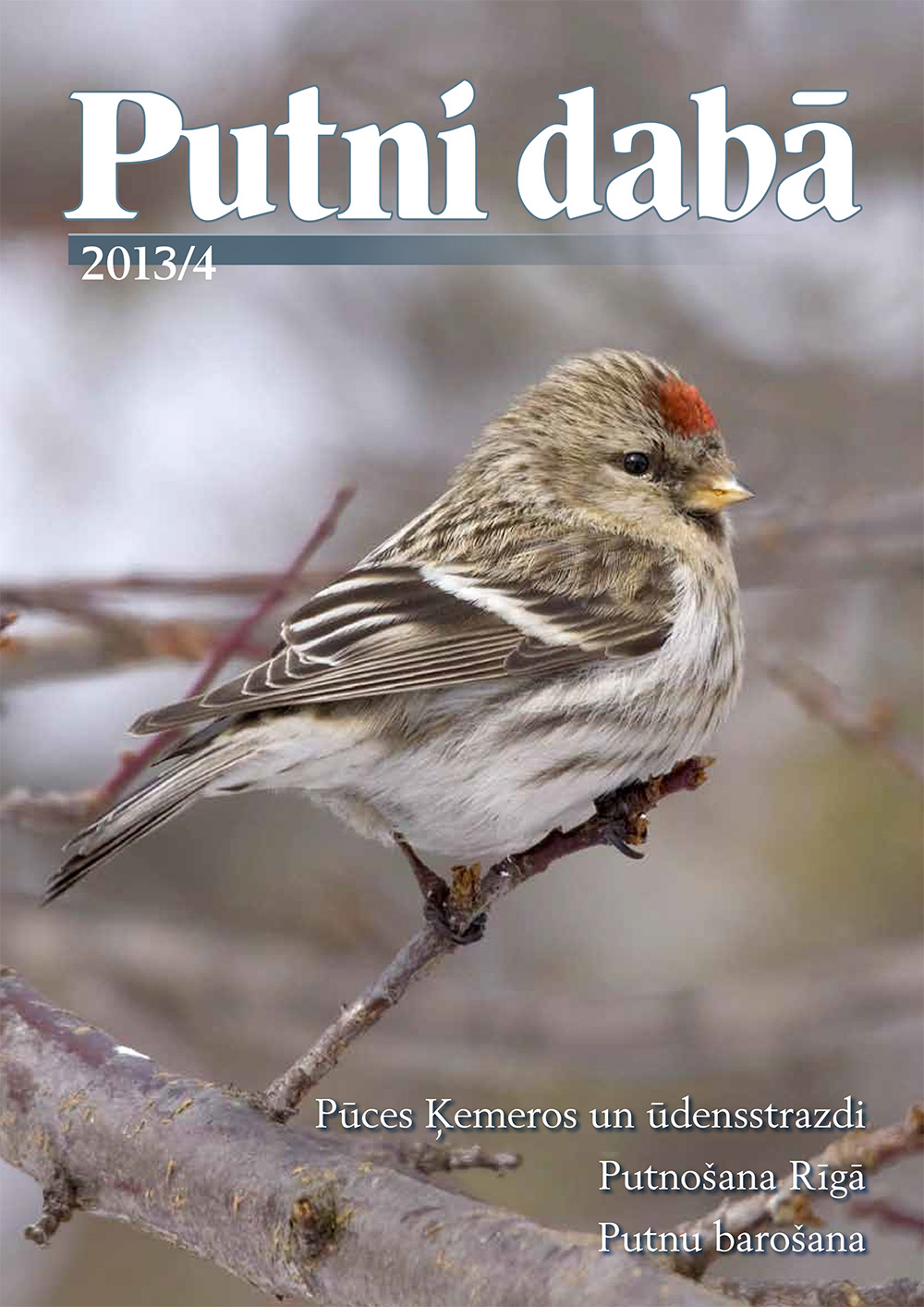 Putni dabā 64 (2013/4)
