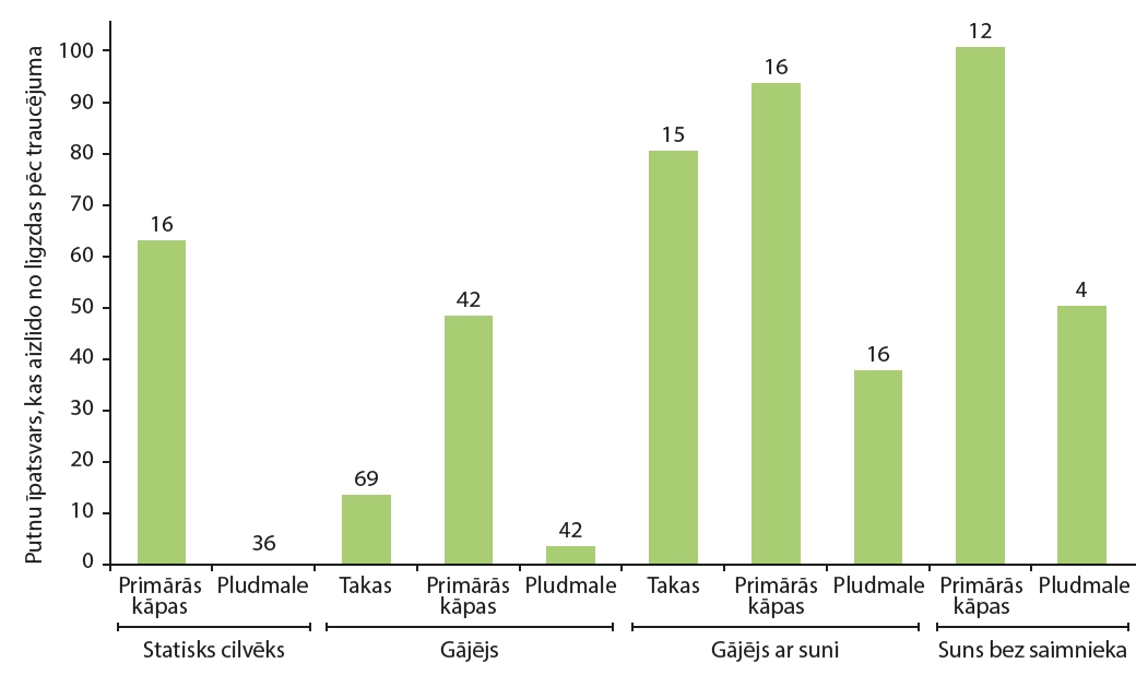 1. ATTĒLS. No ligzdas aizlidojušo putnu īpatsvars atkarībā no traucējuma veida un vietas. Katrai kombinācijai dots relatīvais daudzums ligzdu, kuras putni īslaicīgi pameta pēc traucējuma, kā arī absolūtais šādu gadījumu skaits (Gómez-Serrano, 2020). FIGURE 1. Percentage of birds that flushed when disturbed according to the location and type of beach user. For each combination, the percentage of nests in which the incubating bird flushed is shown. Sample sizes are given above each bar (Gómez-Serrano, 2020).