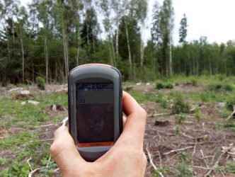 4. attēls. Ligzdas nogabals (ieskaitot ligzdas koku) ir nocirsts, mikrolieguma izveidošana atteikta. Šajā rajonā tika atrastas divas ligzdas – mazā ērgļa un peļu klijāna, nozāģēti ir abu ligzdu koki. 01.08.2019. | Foto: Andris Avotiņš jun.
